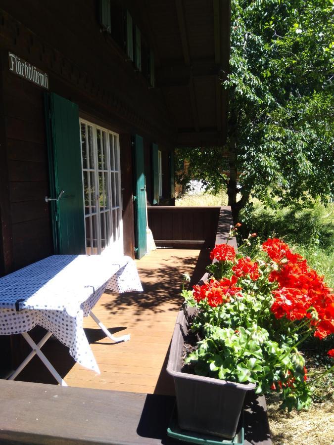 Ferien Cottage Flueehblueemli Stechelberg Exterior foto